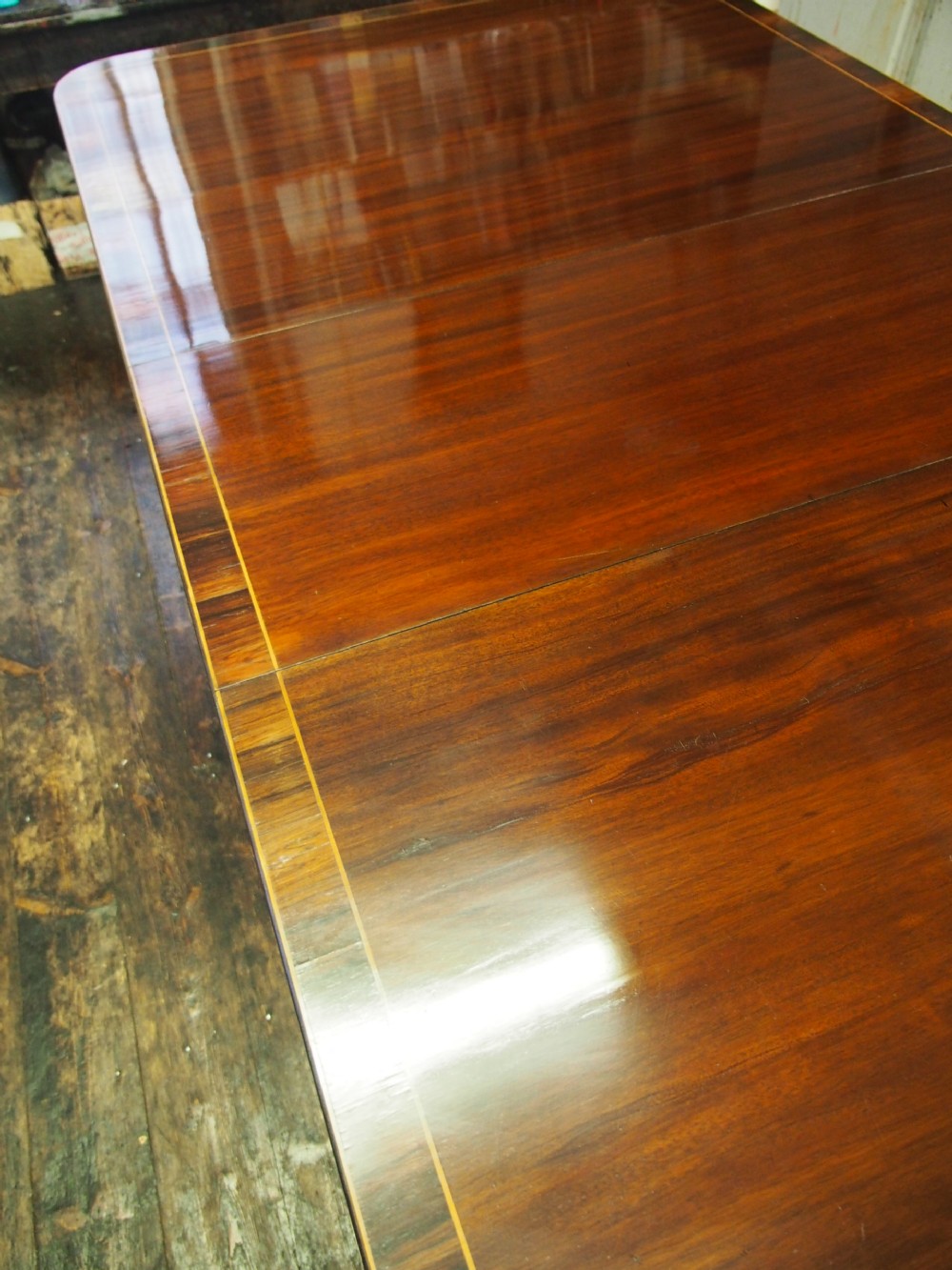 Regency Style Triple Pillar Mahogany and Rosewood Dining Table View III