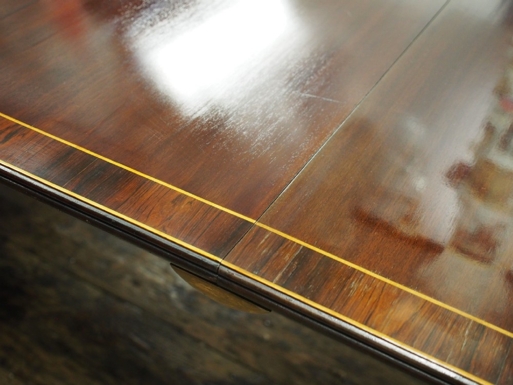 Regency Style Triple Pillar Mahogany and Rosewood Dining Table View VI