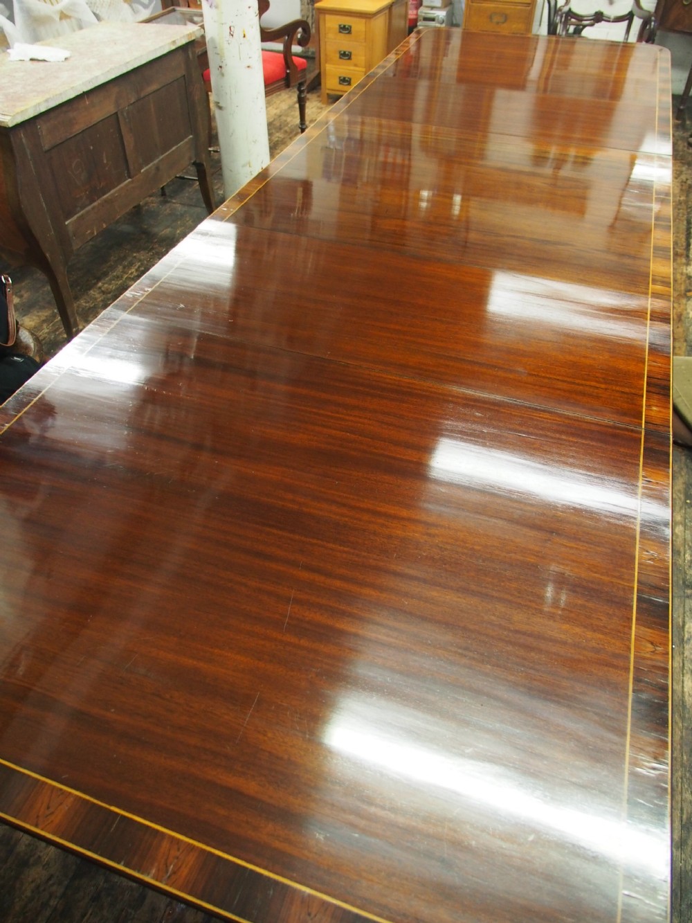 Regency Style Triple Pillar Mahogany and Rosewood Dining Table View IX