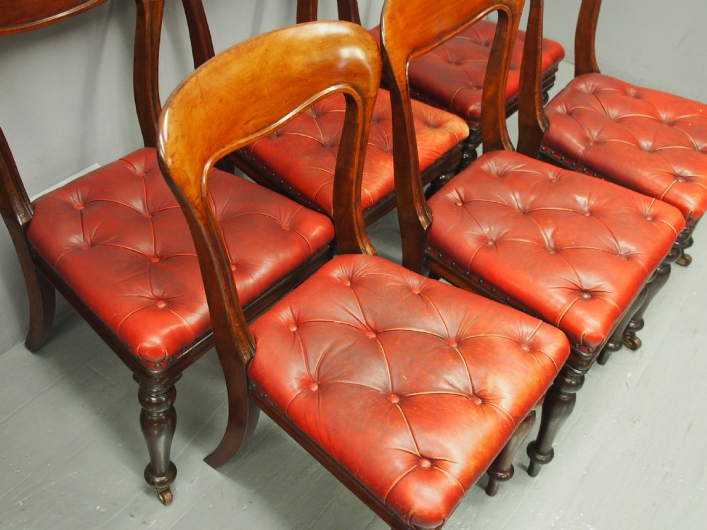 Set of 6 Edinburgh Style Mahogany Dining or Library Chairs View X