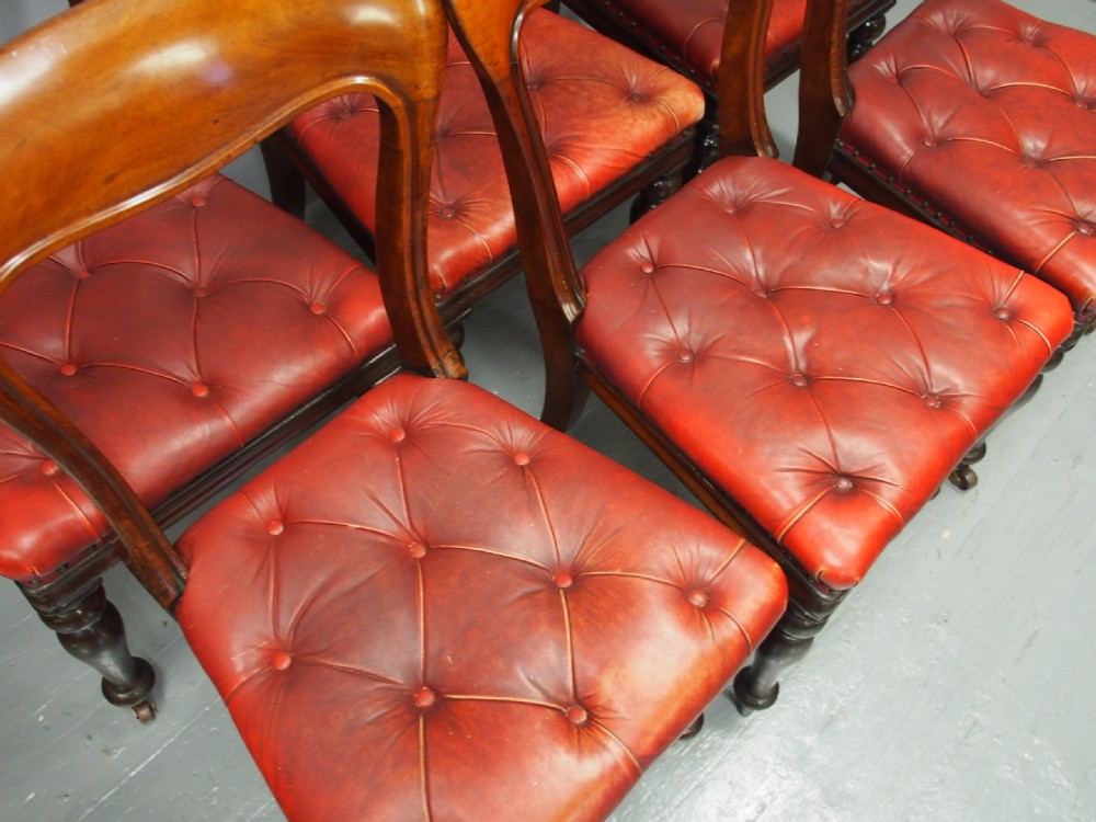 Set of 6 Edinburgh Style Mahogany Dining or Library Chairs View XI