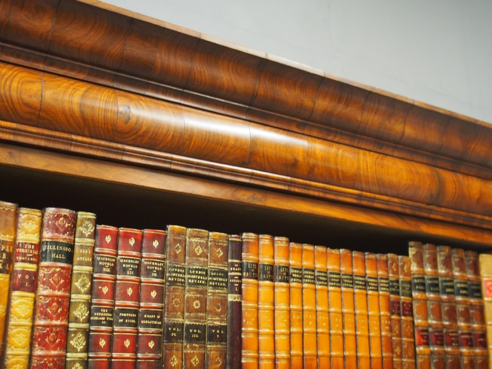 Georgian Style Walnut Open Bookcase View VIII