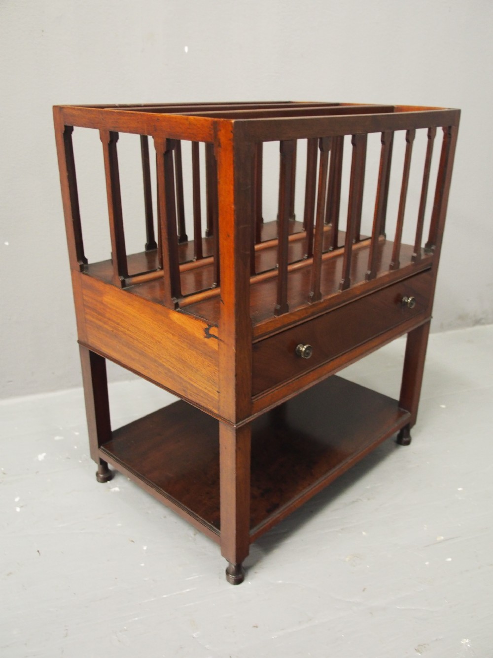 Unusual George IV Mahogany Canterbury View VII