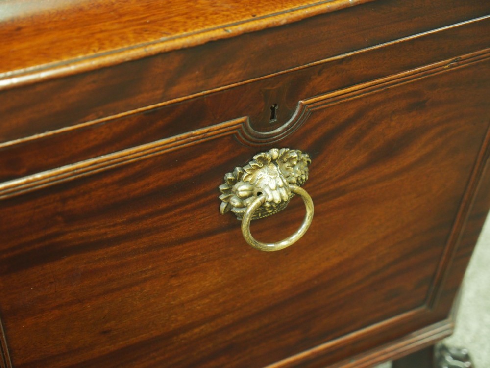 Georgian Mahogany Sarcophagus Wine Cooler View VIII