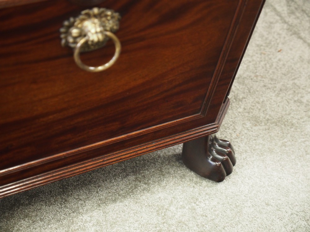 Georgian Mahogany Sarcophagus Wine Cooler View IX