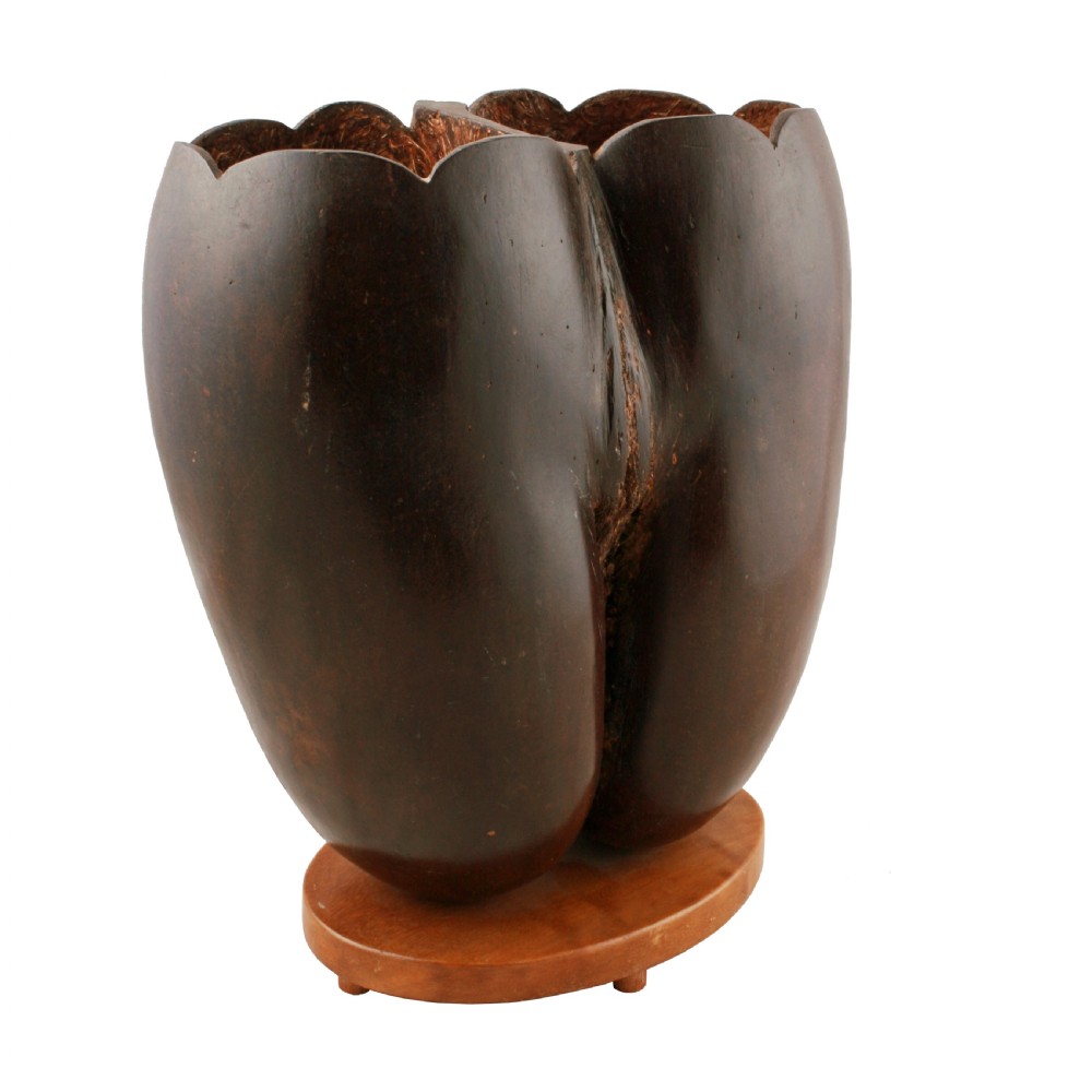 Coco de Mer on stand 