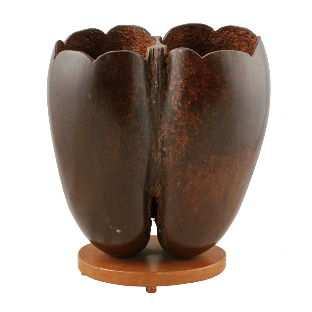 Coco de Mer on stand  View IV