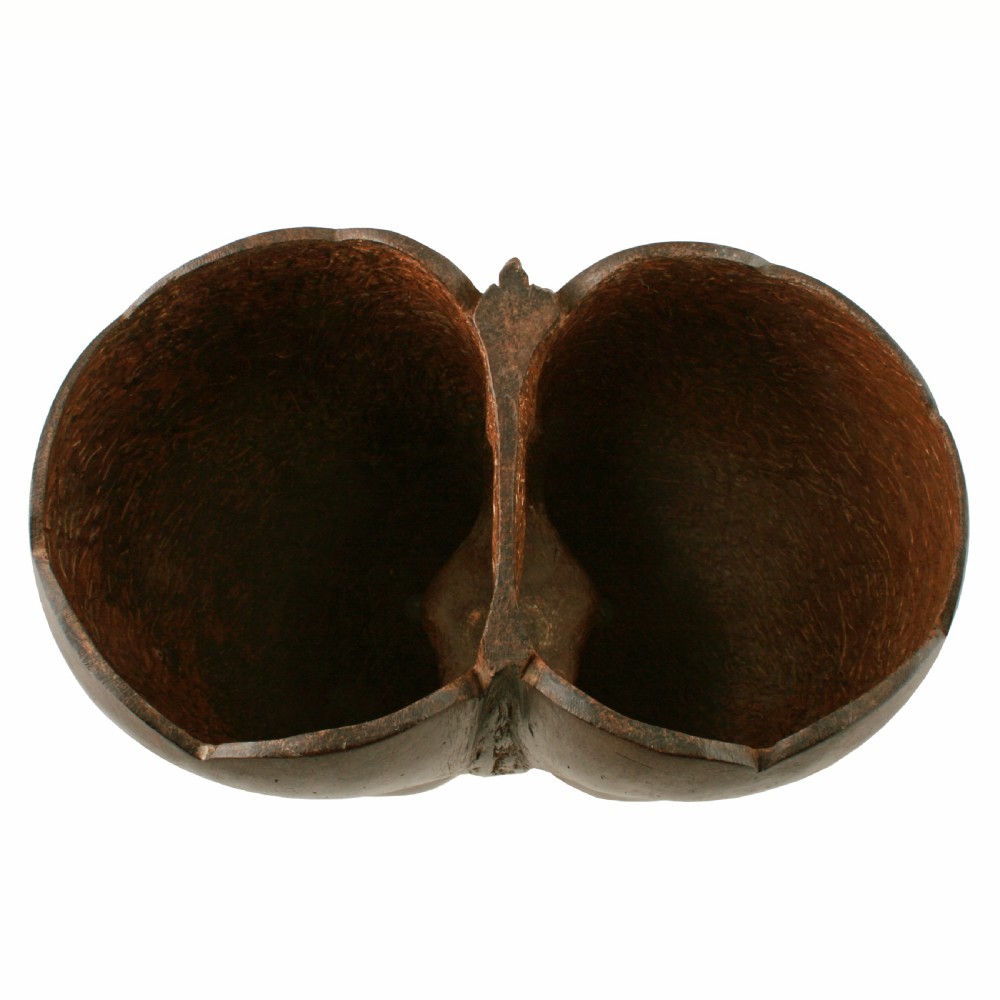 Coco de Mer on stand  View VI