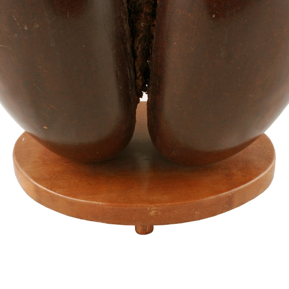 Coco de Mer on stand  View VII