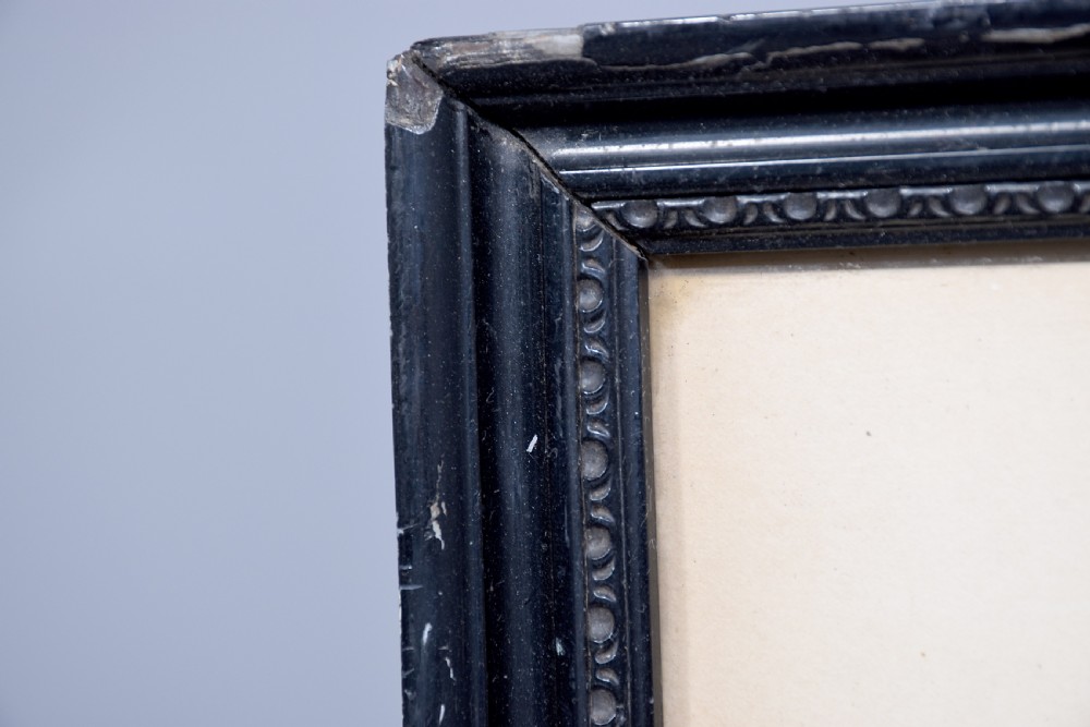 A collection of fifteen framed antique monochrome portrait engravings featuring oval borders and historical figures. View XIX