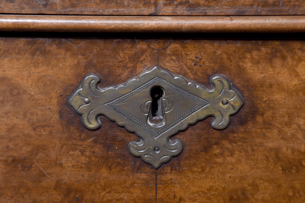 A nineteenth-century Dutch burr walnut display cabinet featuring canted glazed sides, an arched cresting cornice, two lower drawers, and turned legs connected by a shaped stretcher. View III