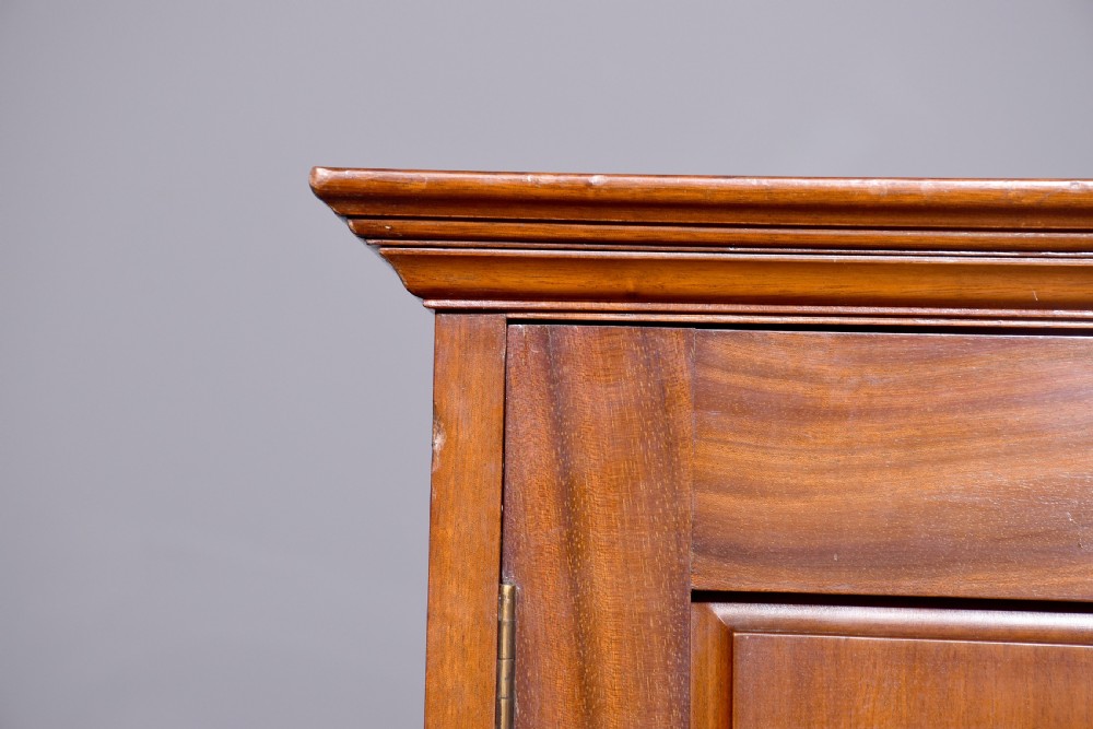Neat Sized Georgian Style 2 Door Wardrobe View IV