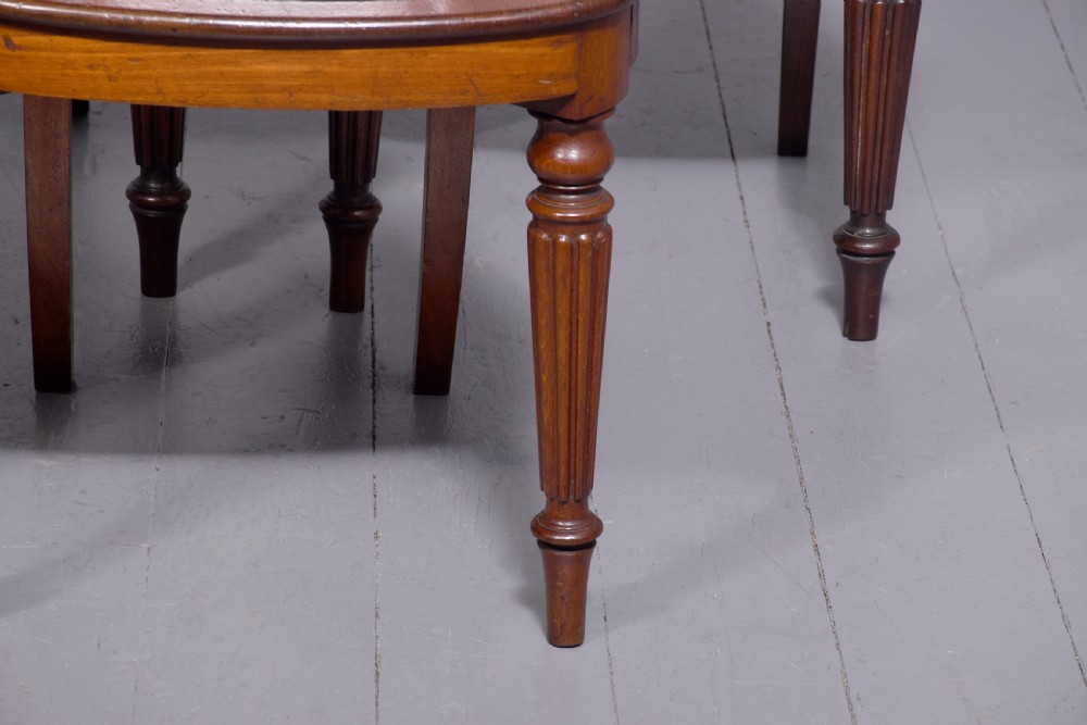 A set of five George IV mahogany hall chairs featuring carved backrest scrolls, turned fluted front legs, and hand-painted heraldic crest shields. View II