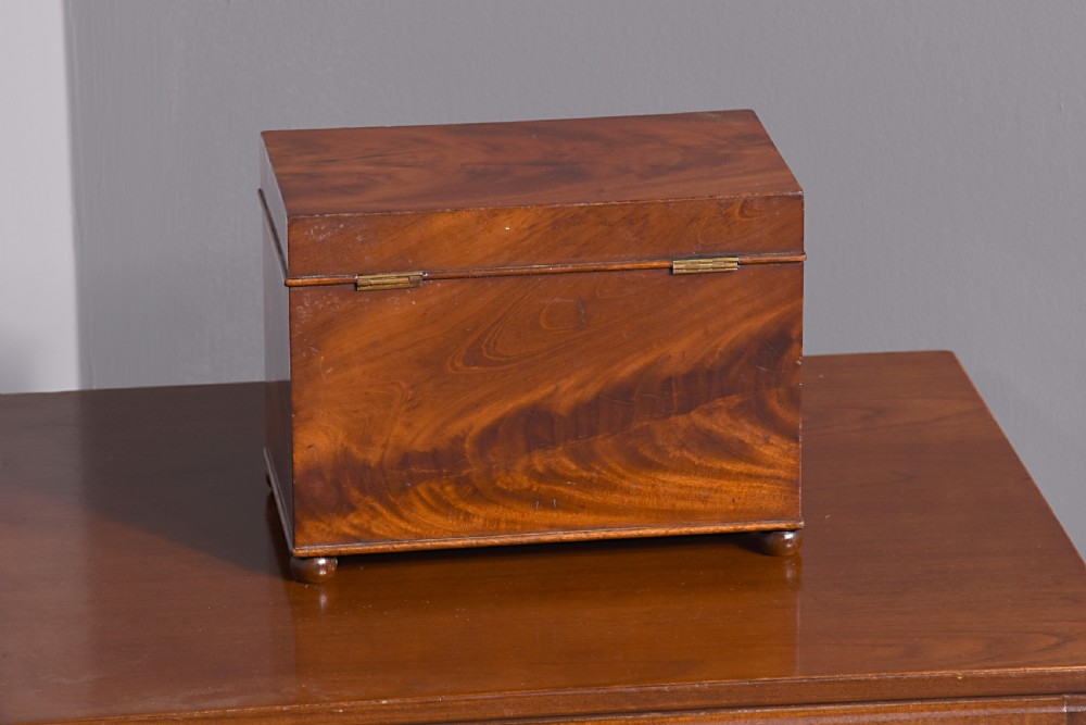 William IV Flame Mahogany Box View II