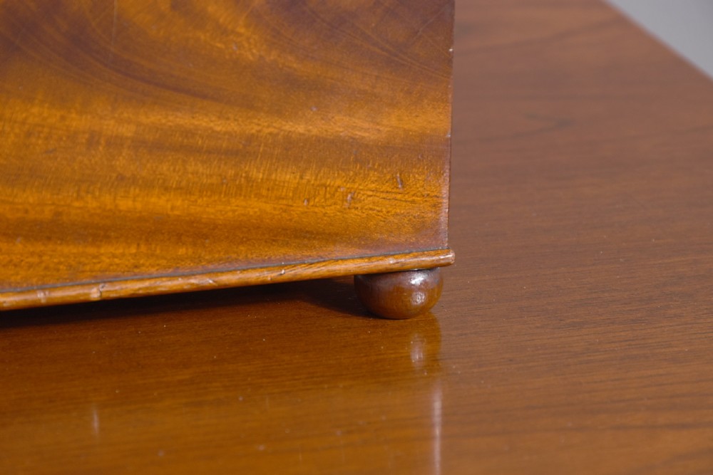 William IV Flame Mahogany Box View III