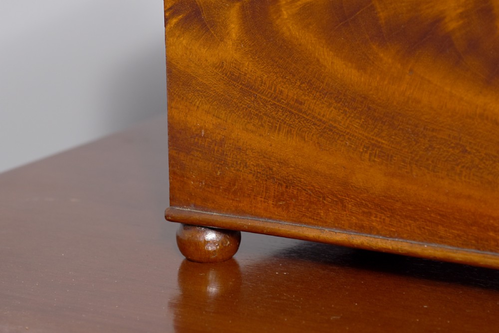 William IV Flame Mahogany Box View IV