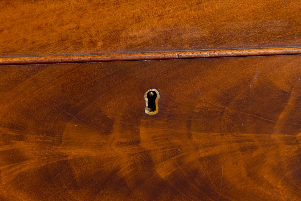 William IV Flame Mahogany Box View V