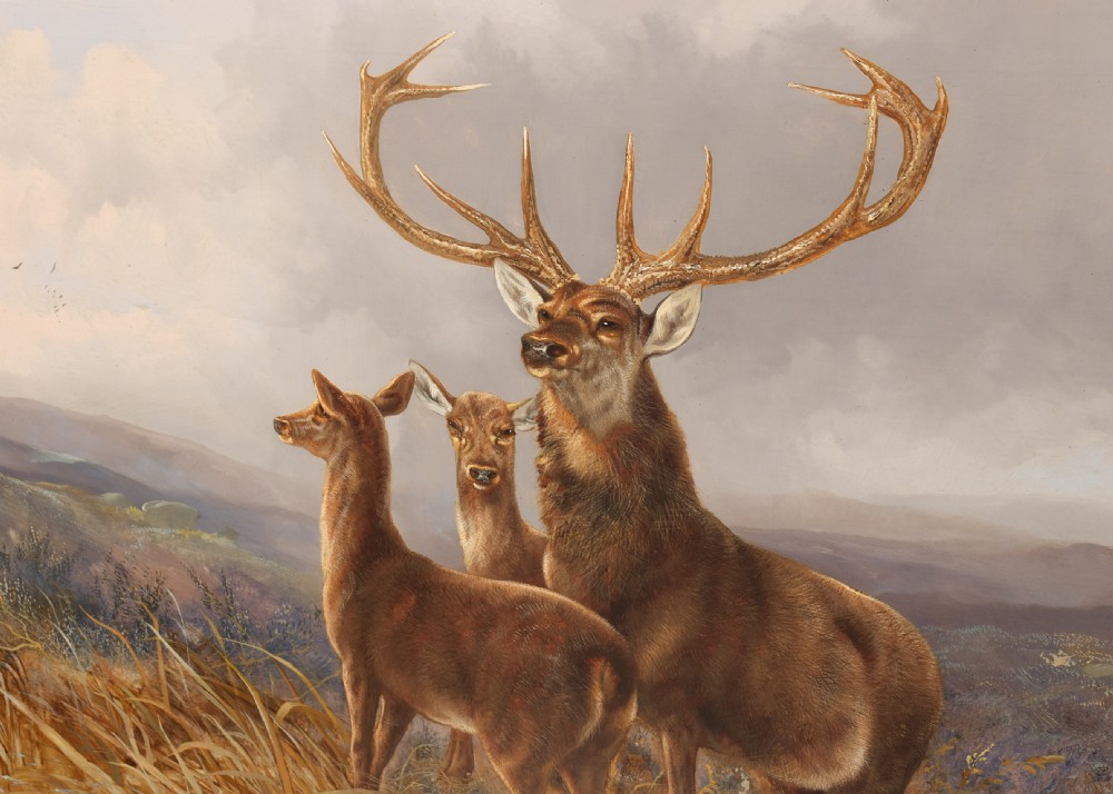 A pair of large Victorian oil paintings in ornate gilt frames depicting Scottish Highland landscapes with livestock and deer. View III