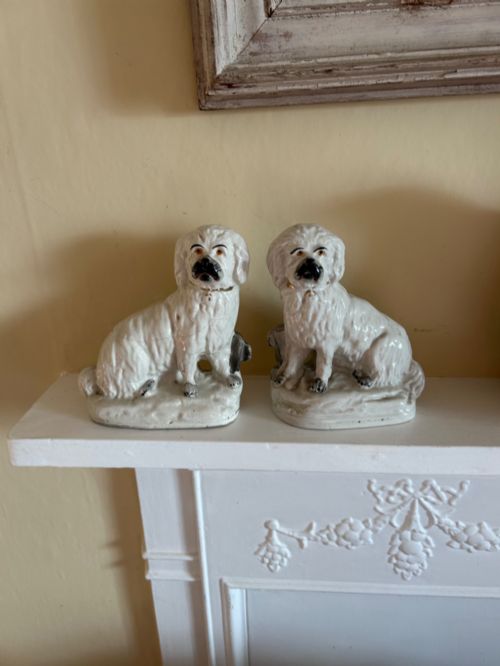 A RARE PAIR OF NINETEENTH CENTURY STAFFORDSHIRE POTTERY MALTESE TERRIERS