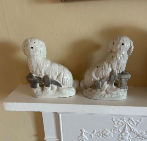 A RARE PAIR OF NINETEENTH CENTURY STAFFORDSHIRE POTTERY MALTESE TERRIERS - ADDITIONAL PHOTO 1