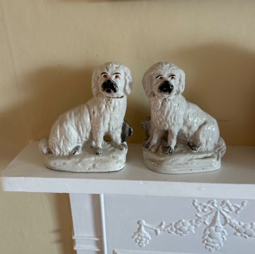 A RARE PAIR OF NINETEENTH CENTURY STAFFORDSHIRE POTTERY MALTESE TERRIERS - ADDITIONAL PHOTO 2