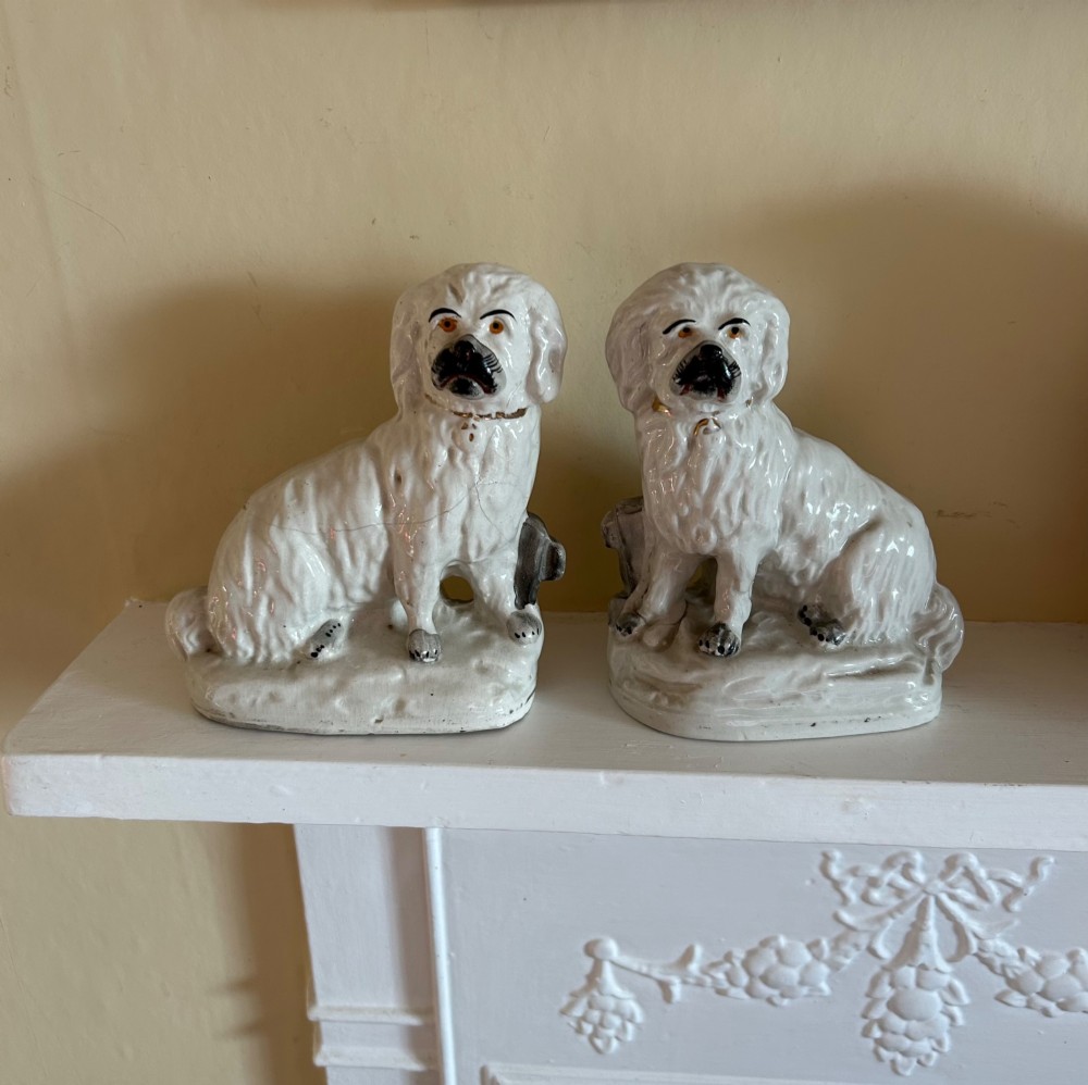 A pair of white glazed earthenware Staffordshire dog figurines modelled as seated Maltese terriers with hand-painted black and orange facial features. View III