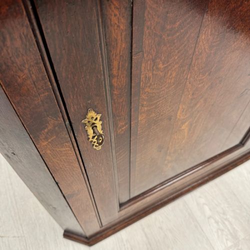 GEORGIAN OAK PANELLED CORNER CUPBOARD - ADDITIONAL PHOTO 4