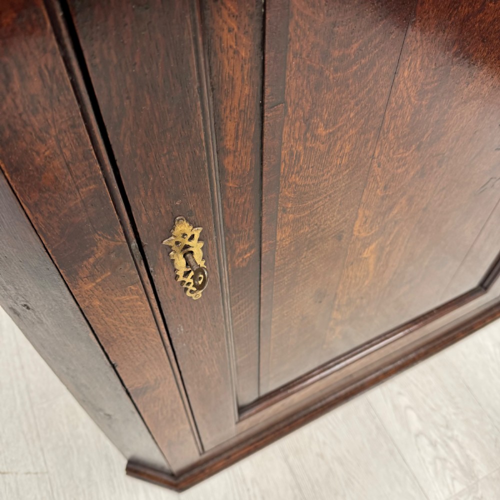 An eighteenth-century Georgian dark oak corner cupboard featuring a single raised panel door with a decorative brass keyhole escutcheon and moulded cornice. View V