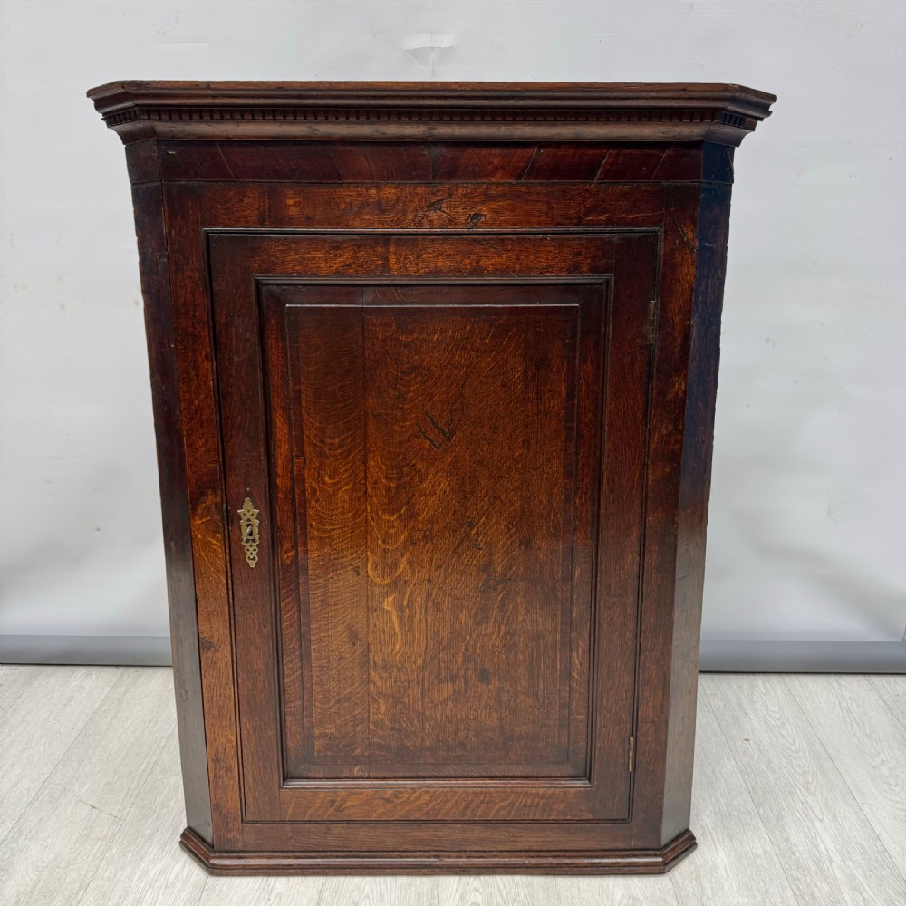An eighteenth-century Georgian dark oak corner cupboard featuring a single raised panel door with a decorative brass keyhole escutcheon and moulded cornice. View VI