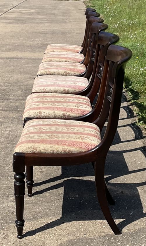 SET OF SIX REGENCY ROSEWOOD DINING CHAIRS - ADDITIONAL PHOTO 7