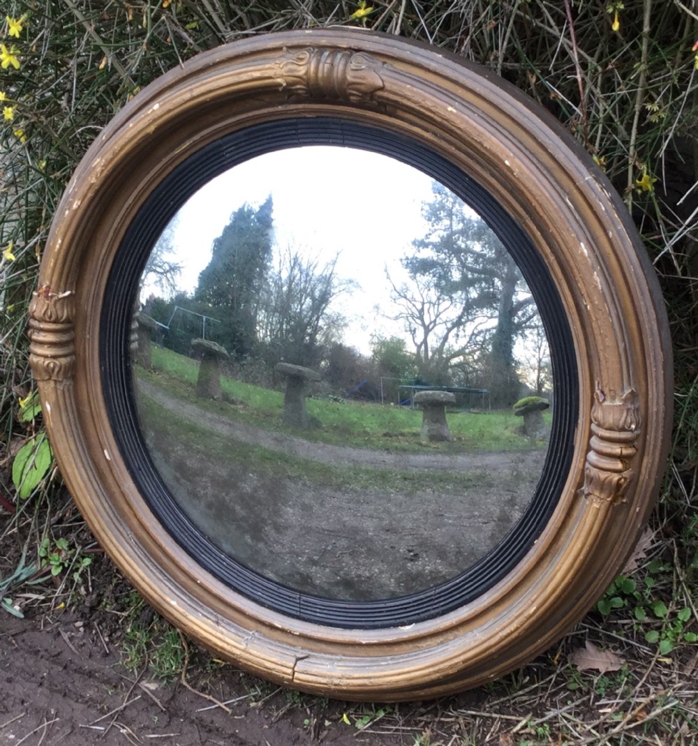 Regency Large Gilt Frame Convex Mirror