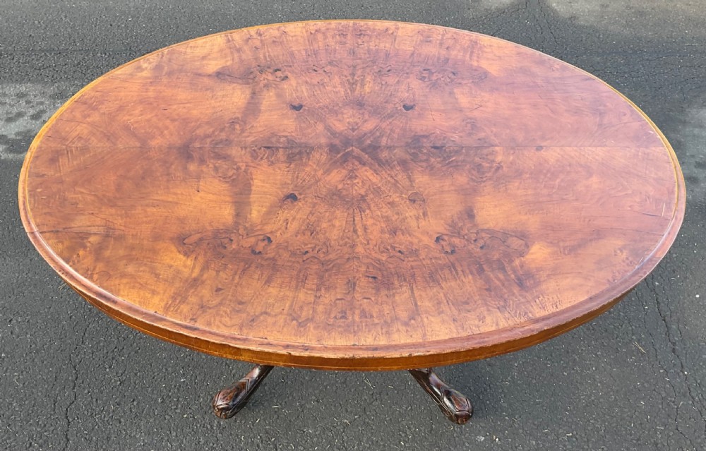 Victorian Oval Burr Walnut Pedestal Table  View IV