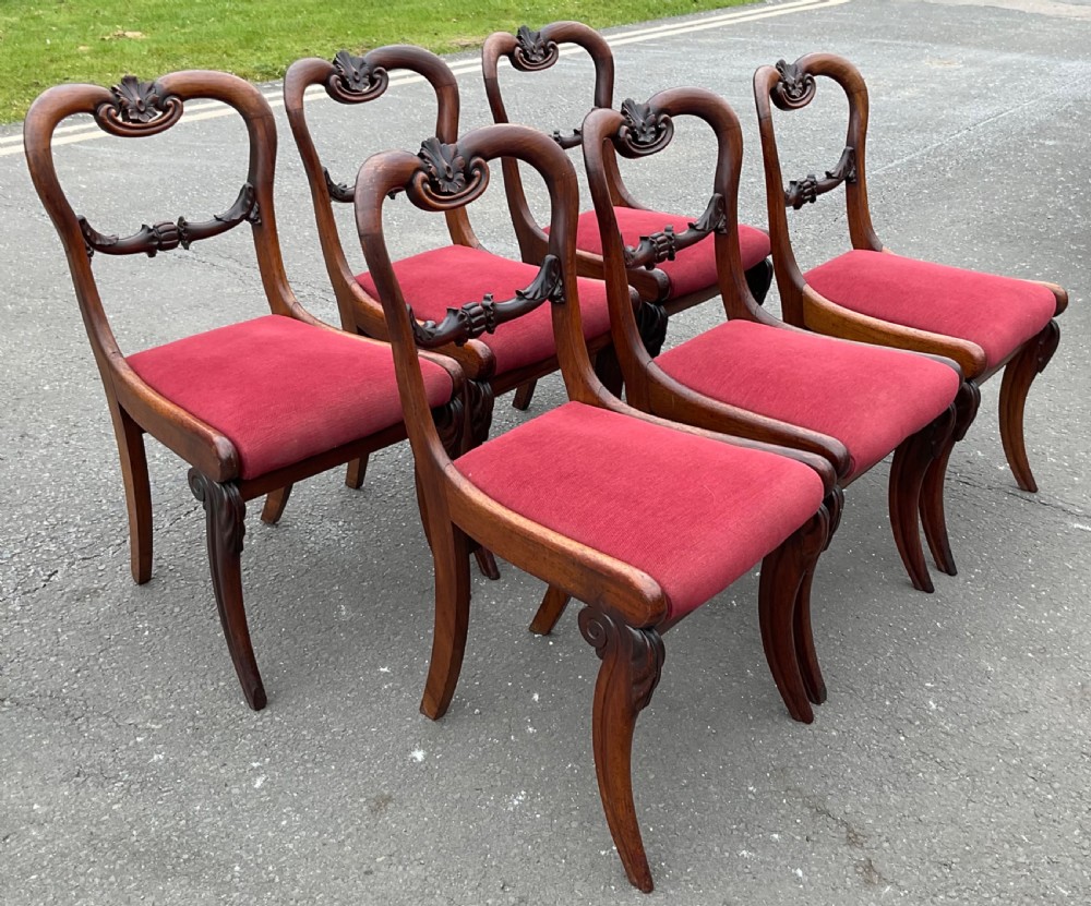 Set of six Regency rosewood dining chairs with carved balloon backs and red upholstered seats. View VI