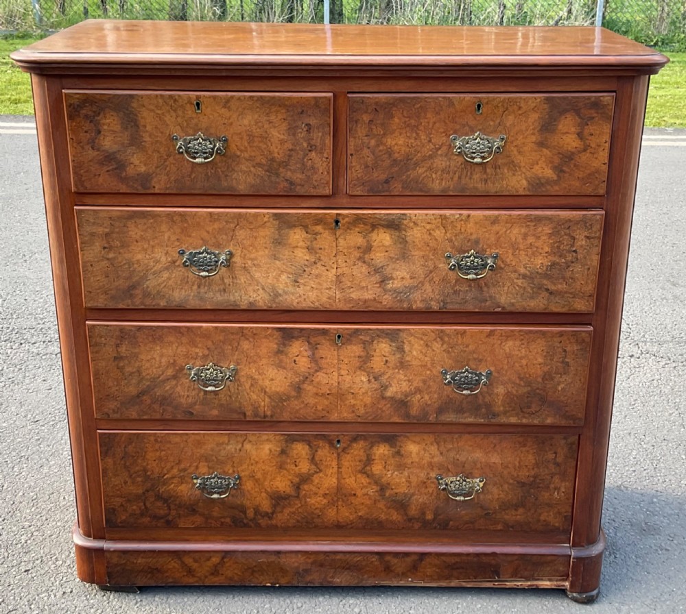 A Victorian burr walnut chest of drawers featuring a two-over-three drawer layout, decorative brass drop handles, and a solid plinth base.