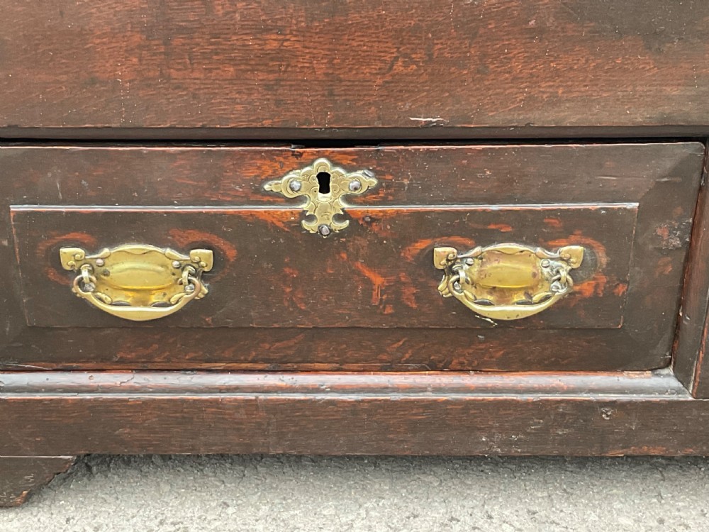 An antique dark oak mule chest featuring two raised front panels above two short drawers with brass handles and keyholes. View XI