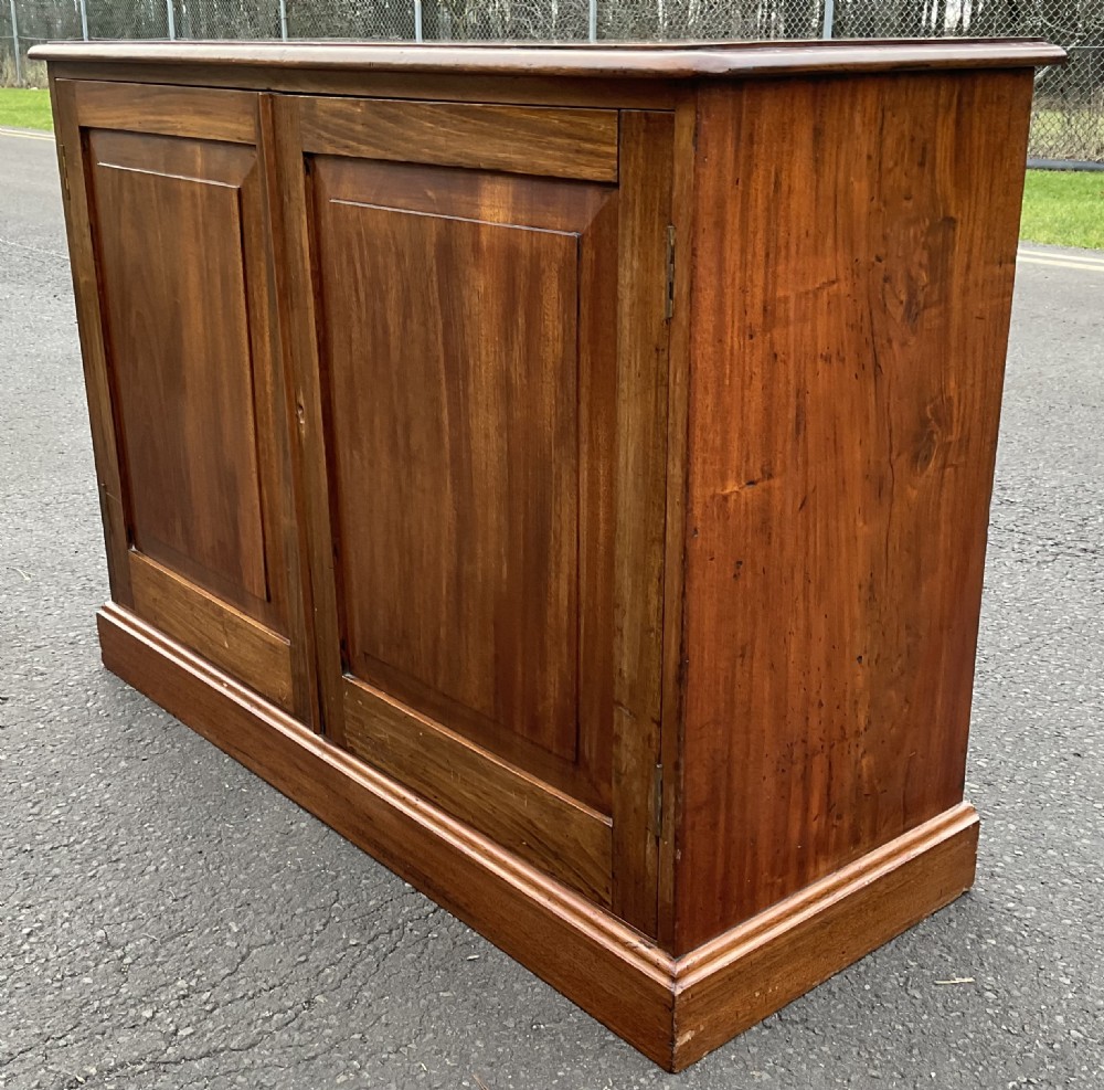 Victorian Mahogany Two Door Cupboard  View IV