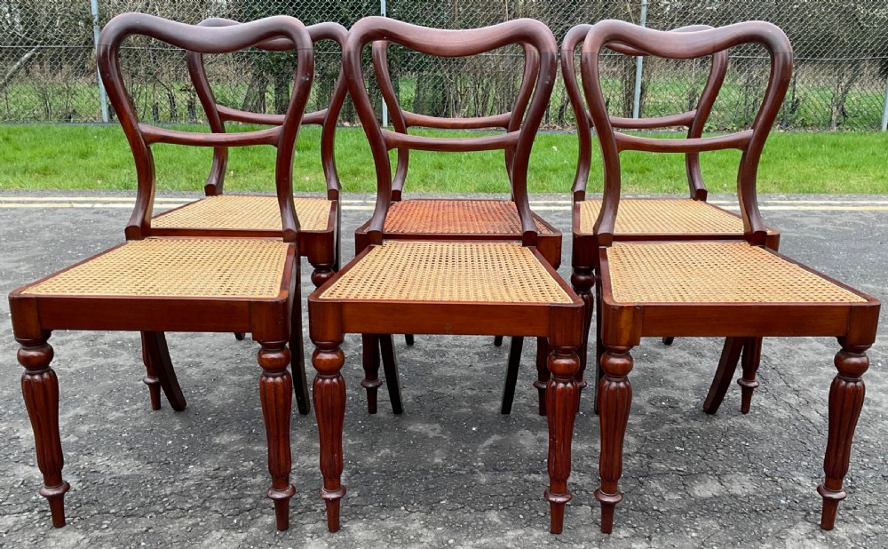 Set of Six William IV Mahogany Dining Chairs
