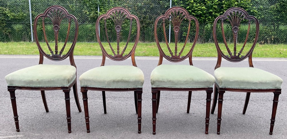 A set of four Edwardian mahogany dining chairs featuring open carved oval backs, light green upholstered seats, and turned front legs.