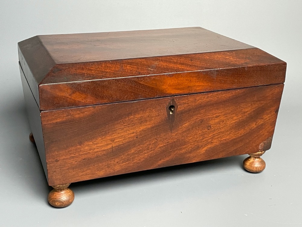 William IV mahogany box with shell display View IV