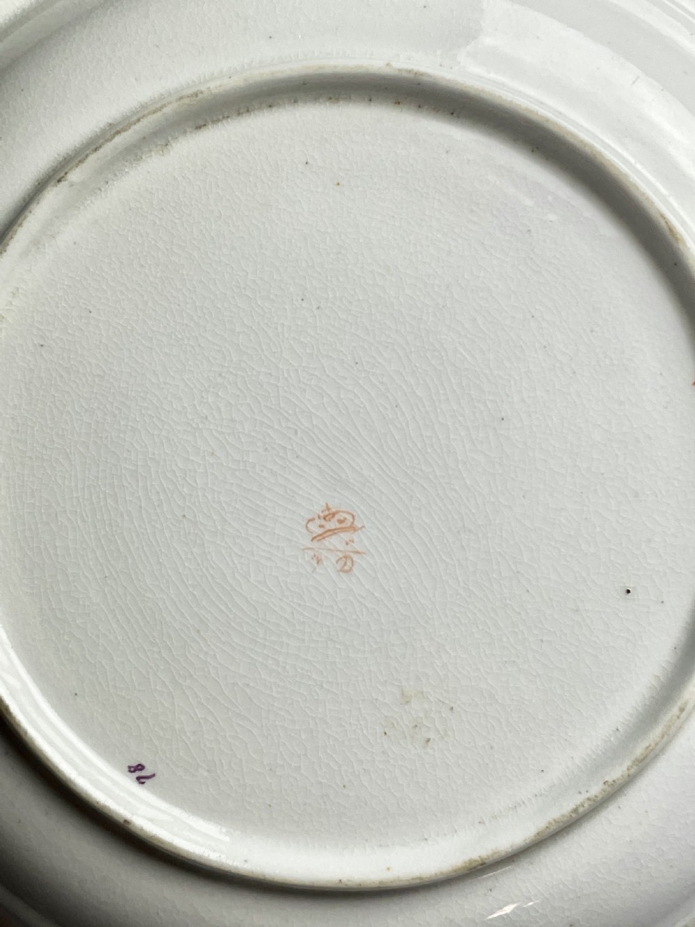 Pair of Derby portcelain botanical soup plates circa 1820 View IV