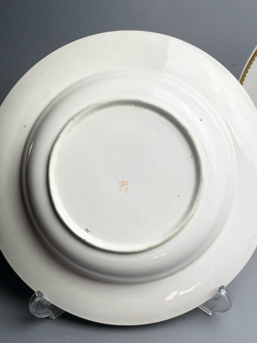 Pair of Derby portcelain botanical soup plates circa 1820 View V