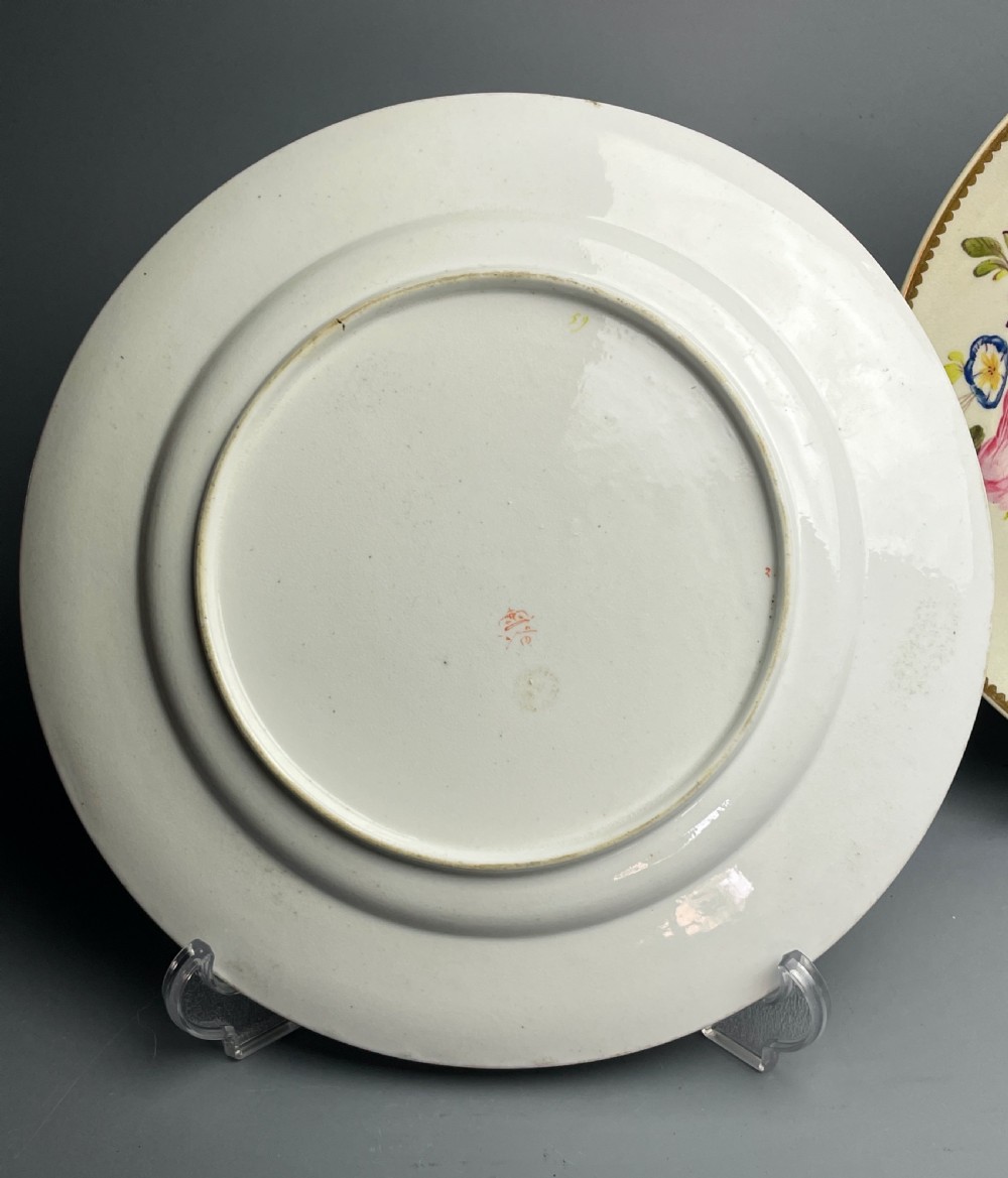 Pair of Derby porcealin botanical plates circa 1820 View IV