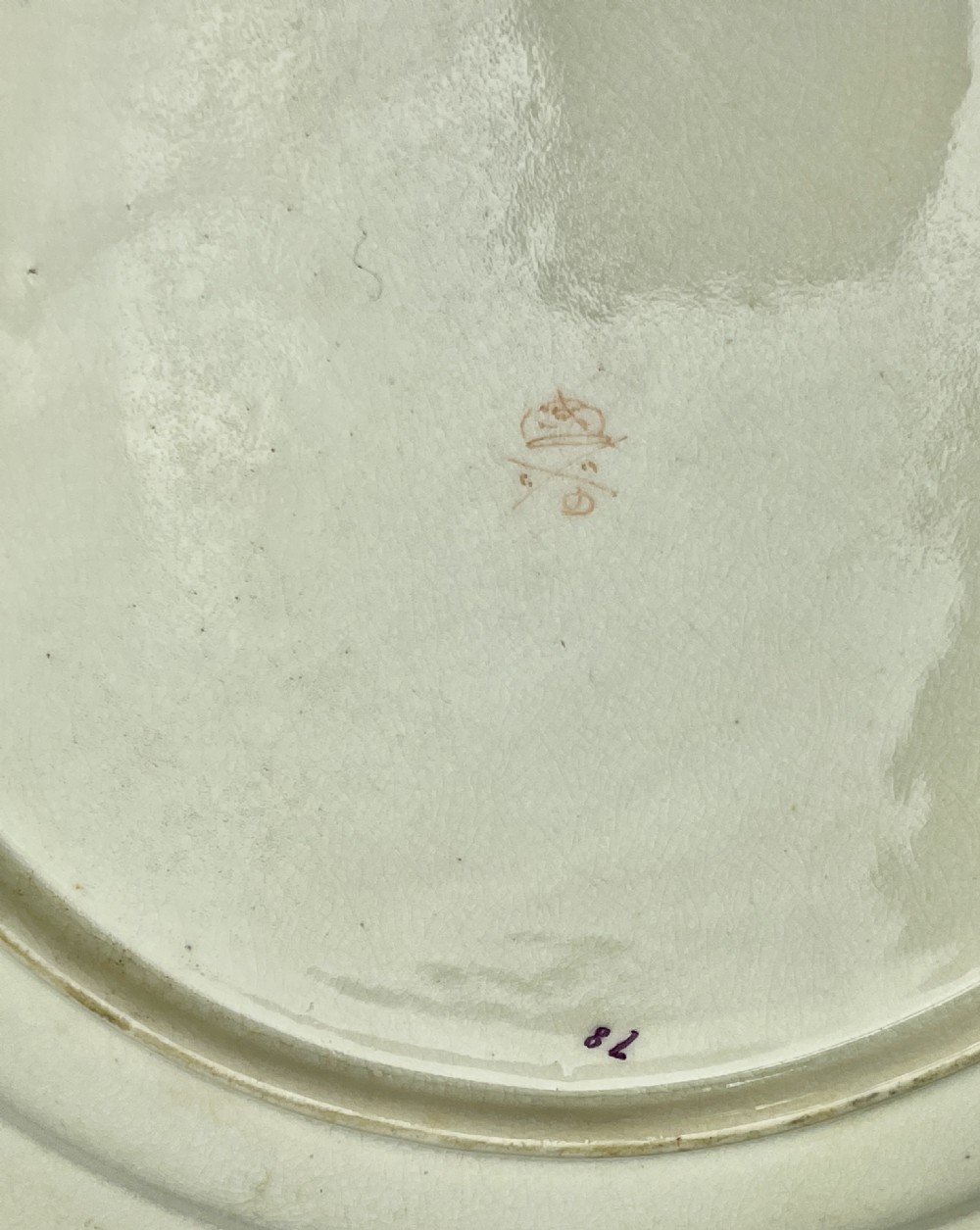 Pair of Derby porcealin botanical plates circa 1820 View V