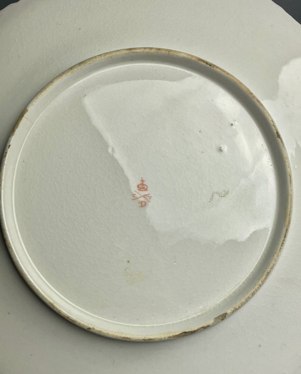 Pair of Derby porcelain botanical plates circa 1820 View V