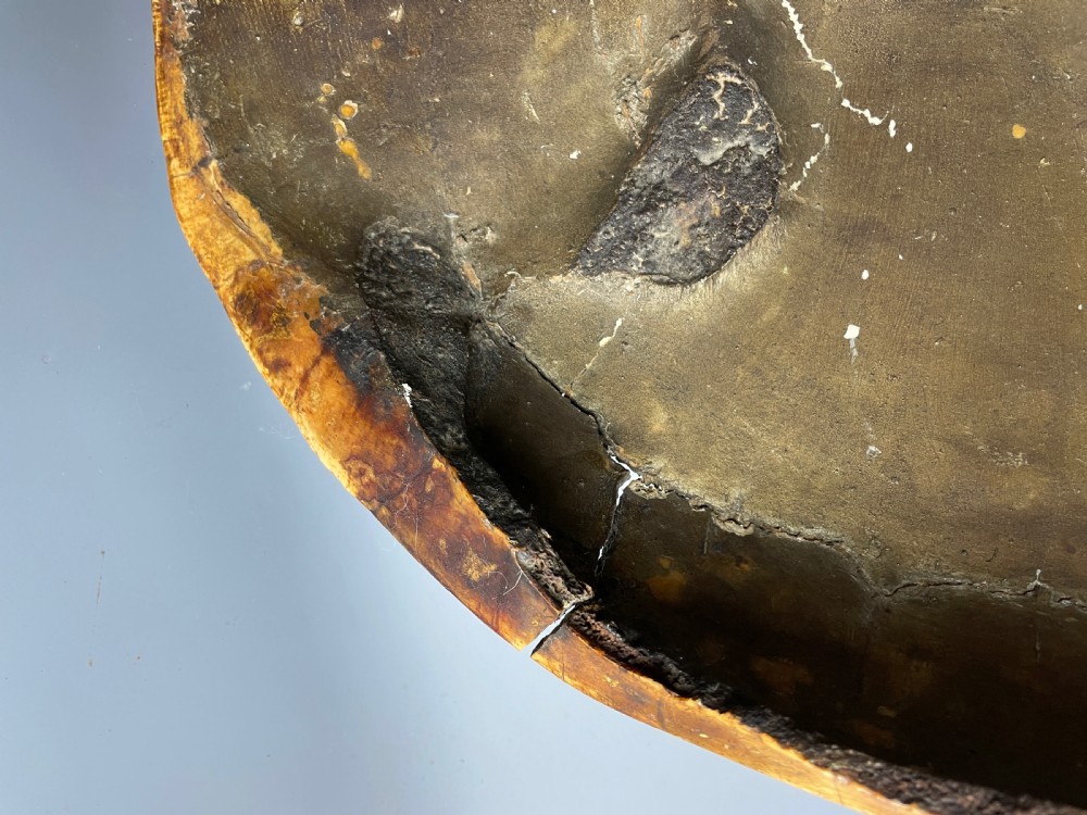 Large 19th century blonde turtle shell View V