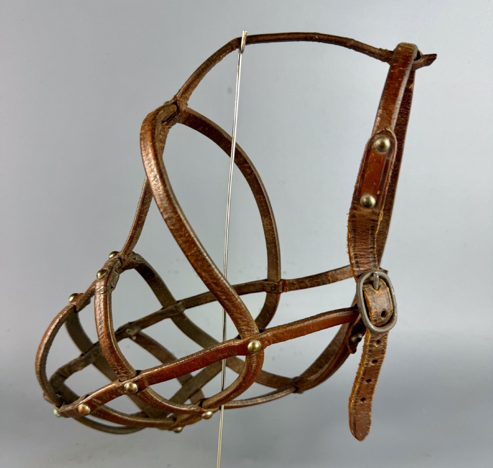 Victorian Leather Dog Muzzle by Garstin, London 1885 View V
