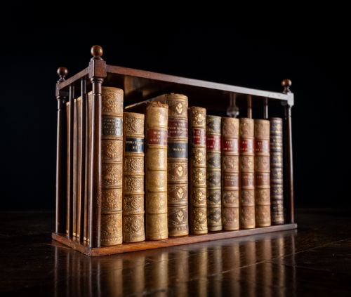 regency mahogany book tray - CATEGORY: ANTIQUE BOOKCASES - DATED REGENCY