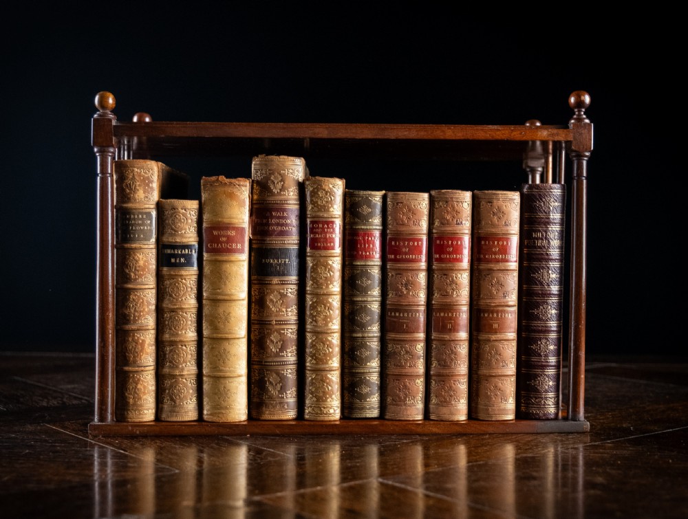 Regency Mahogany Book Tray View IV