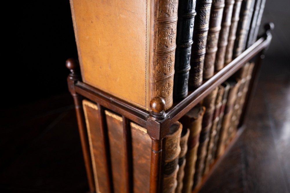 Regency Mahogany Book Tray View XIII