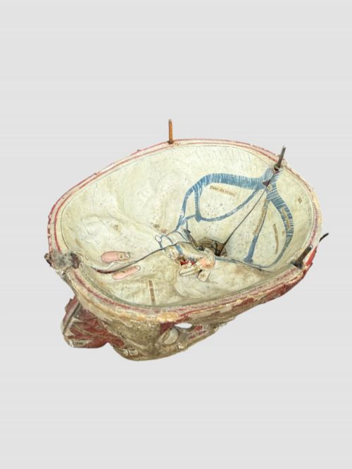 19TH CENTURY FRENCH ANATOMICAL MODEL ON STAND - ADDITIONAL PHOTO 3